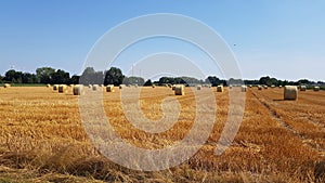 Strawballs on the field