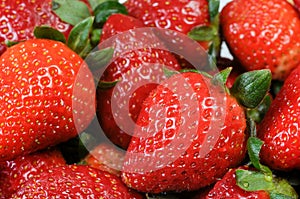 Strawberries photo