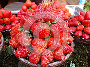Strawberries