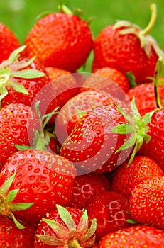 strawberries