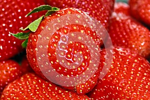 Strawberries 3