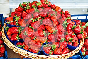 Strawberries