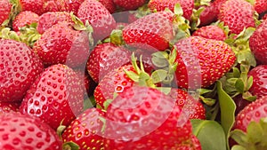 Strawberries