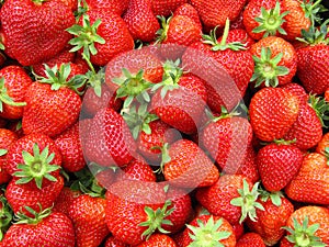 Strawberries as appetizing background. Close-up