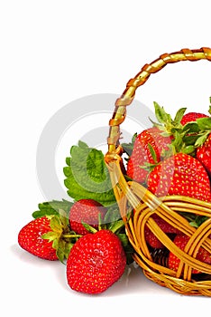Strawberries in basket