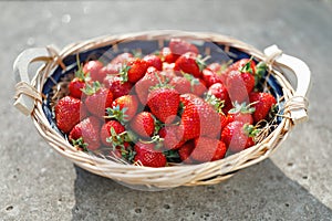 Strawberries basket on gray concrete background