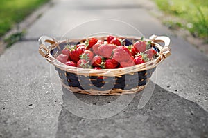 Strawberries basket on gray concrete background