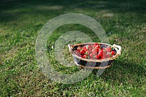 Strawberries basket on green lawn background