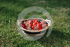 Strawberries basket on green lawn background