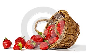 Strawberries and basket isolated on a white background.