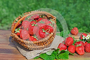 Strawberries in basket on wooden table outdoor