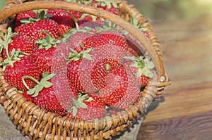 Strawberries in basket on wooden table outdoor