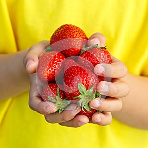 Strawberries berry fruits strawberry berries fruit summer hands