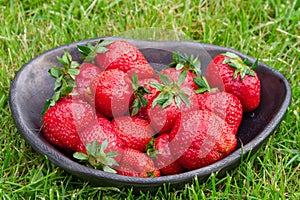 Strawberries in the black clay bowl