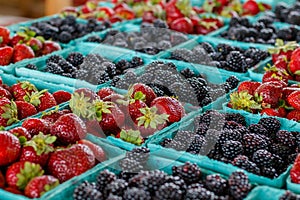 Strawberries and Blackberries