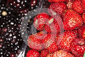 Strawberries and blackberries background. Foreground close up macro