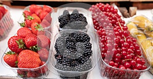 strawberries, blackberries and red currants for sale at the Bolzano market