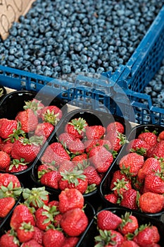 Strawberries and blueberries in boxes at a farmers market. vitamins.