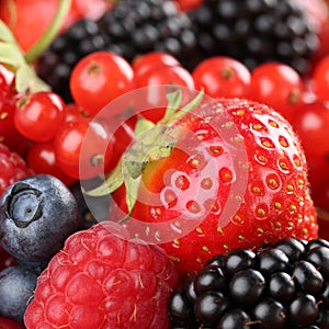 Strawberries, blueberries, red currants, raspberries and blackberries