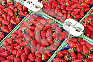 Strawberries in boxes.