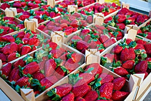 Strawberries boxes baskets texture in market