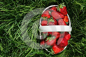 Strawberries in ceramic basket on grass