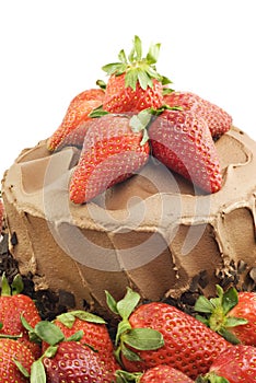 Strawberries on Chocolate Cake