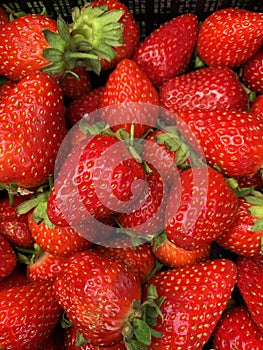 Strawberries close up