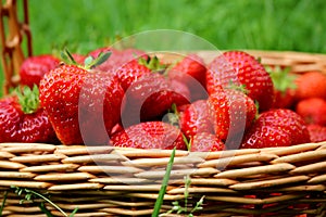 Strawberries close-up in a basket
