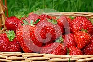 Strawberries close-up in a basket