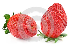 Strawberries closeup