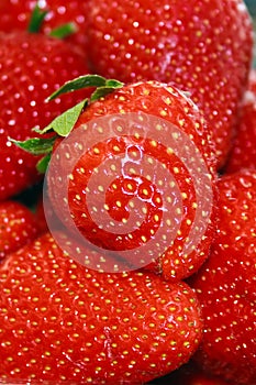 Strawberries 1