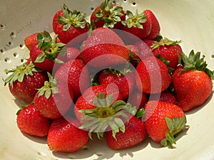 Strawberries in collander