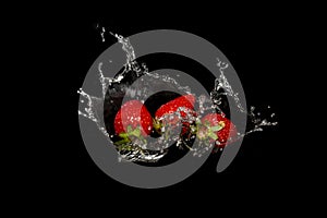 strawberries with crown water splash on black background