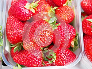 Strawberries on display at a farmers market in Wiltshire