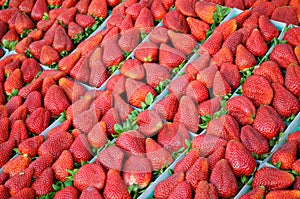 Strawberries at a farmers' market