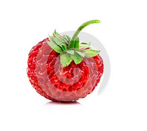 Strawberries, Fragaria berry