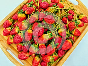 Strawberries fruit ripe fresh red garden strawberry food fraise fresa morango fragaria ananassa berry stroberee in a tray photo