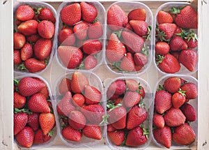 Strawberries in fruitbox