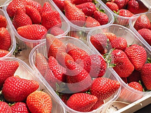 Strawberries in fruitbox