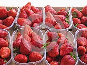 Strawberries in fruitbox