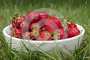 Strawberries on a grass