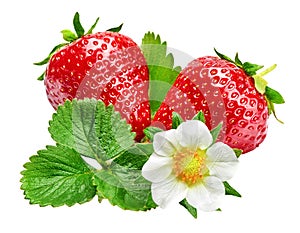 Strawberries with green leaf and flowers