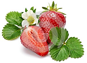 Strawberries with green leaf and flowers isolated