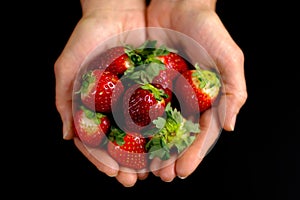 Strawberries in Hand 2
