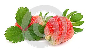 Strawberries isolated on a white background. Berry, organic.