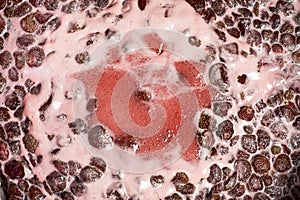 Strawberries jam making