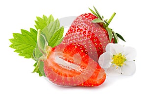 Strawberries with leaves and blossom isolated on a white