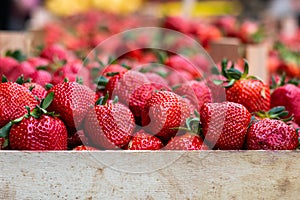 Strawberries on the market