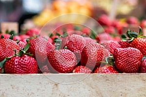 Strawberries on the market